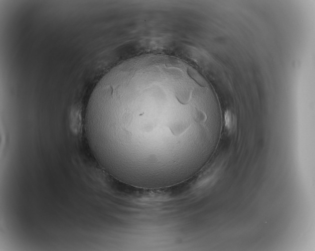X0000089731203200707051733