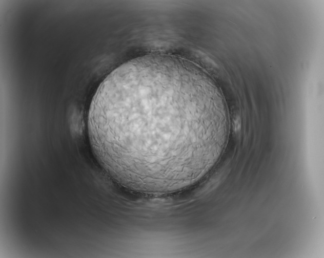 X0000089731204200707051733