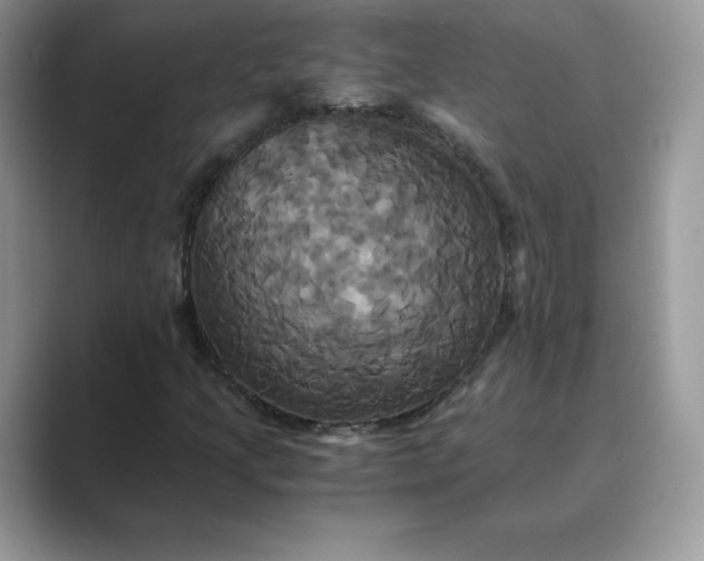 X0000089731205200707051733
