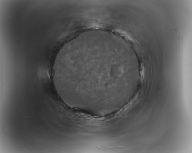 X0000089731206200707051733