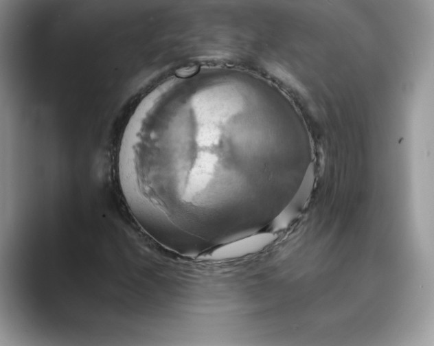X0000089731208200707051733