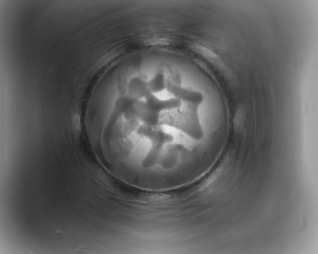 X0000089731209200707051733