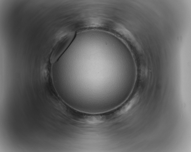 X0000089731210200707051733