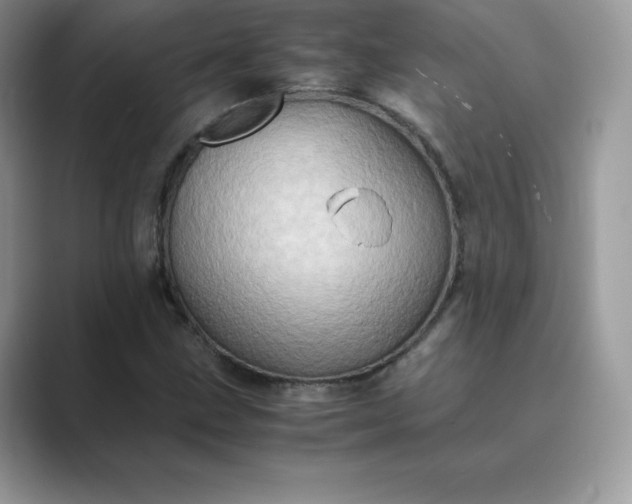 X0000089731211200707051733