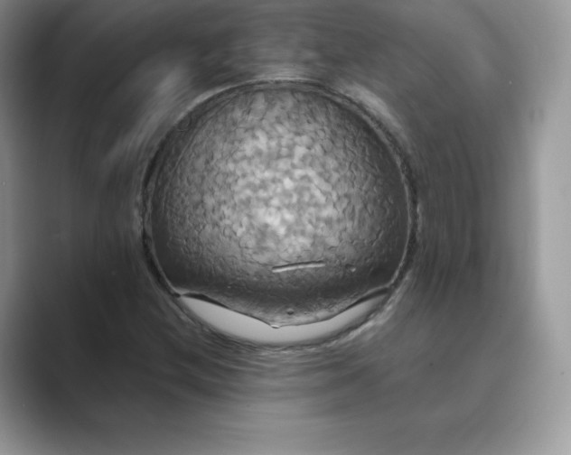 X0000089731212200707051733