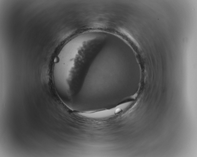 X0000089731213200707051733