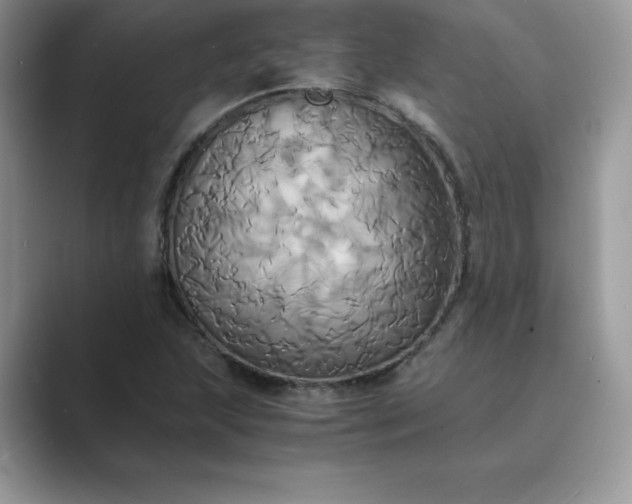 X0000089731215200707051733