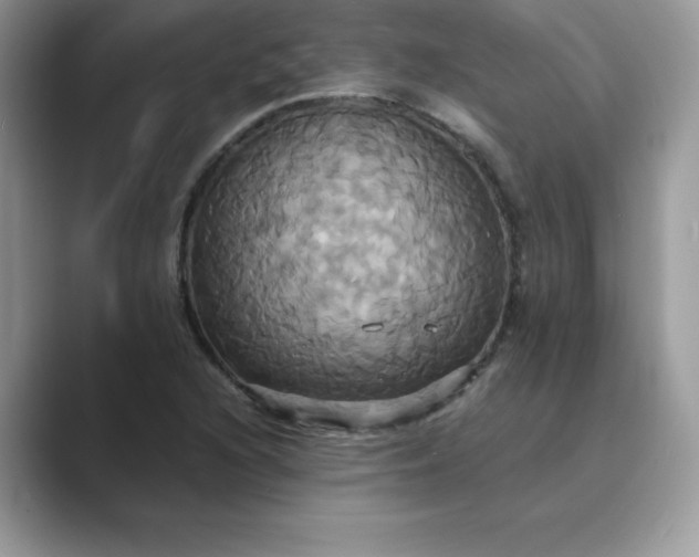 X0000089731216200707051733