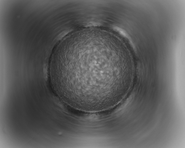 X0000089731217200707051733