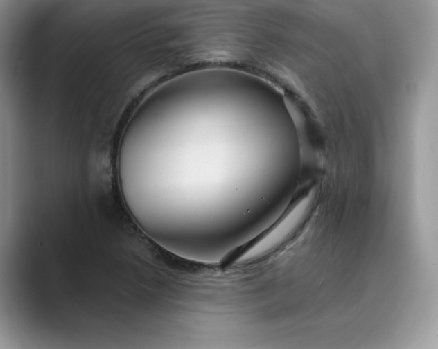 X0000089731218200707051733
