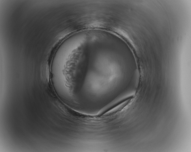 X0000089731219200707051733