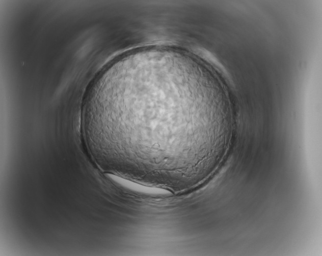 X0000089731220200707051733