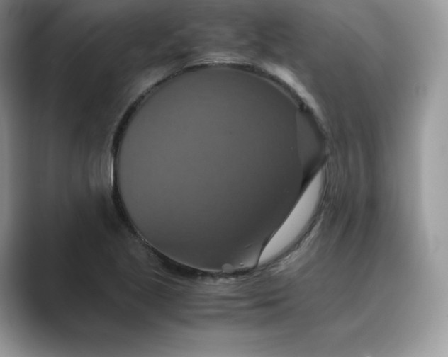 X0000089731221200707051733