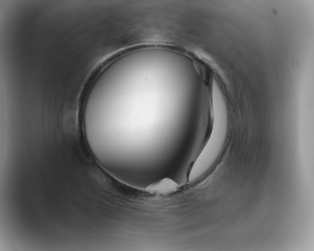 X0000089731222200707051733