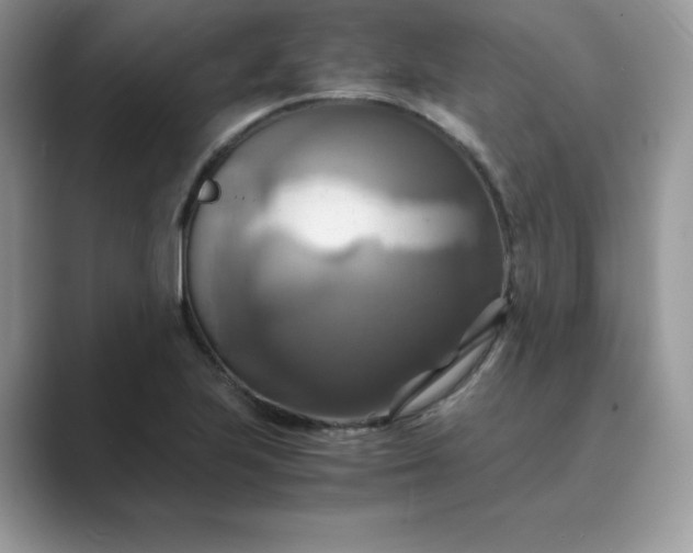 X0000089731223200707051733