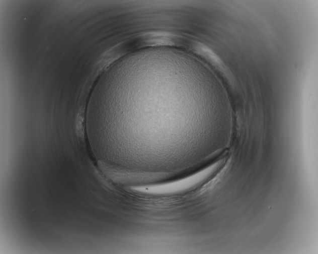 X0000089731225200707051733
