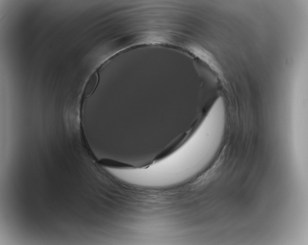 X0000089731226200707051733