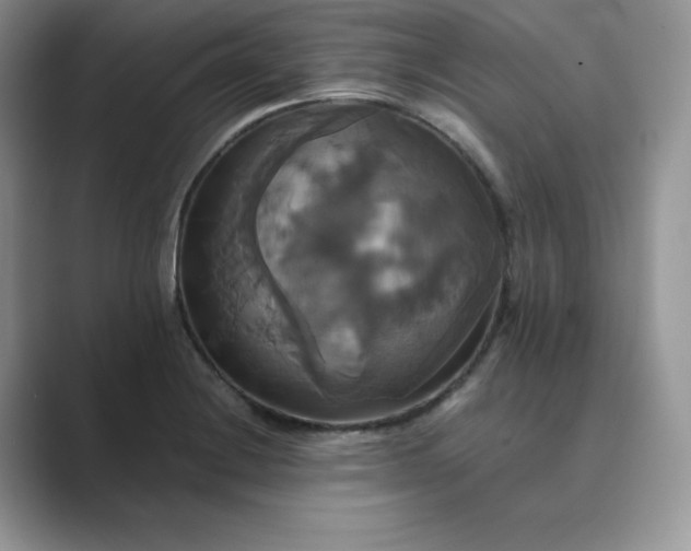 X0000089731228200707051733