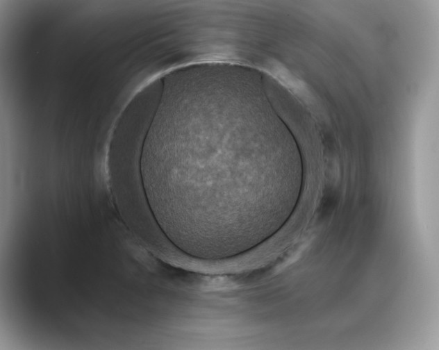 X0000089731230200707051733