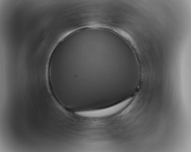 X0000089731231200707051733