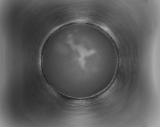 X0000089731232200707051733