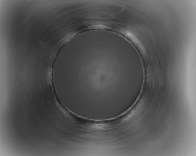 X0000089731233200707051733