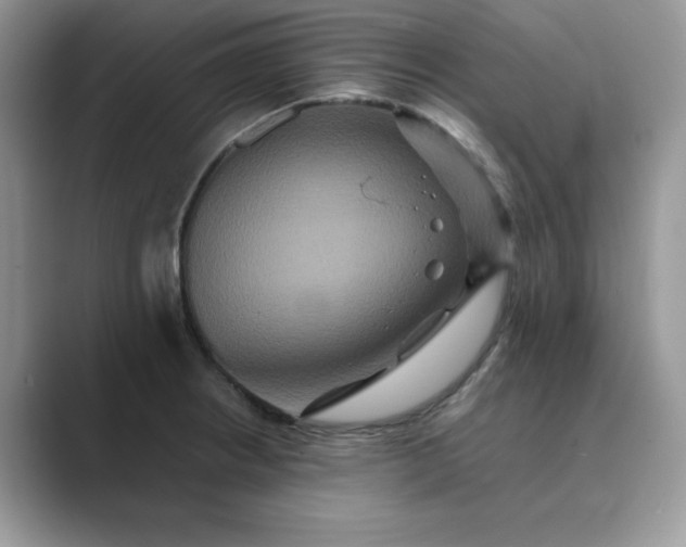 X0000089731234200707051733