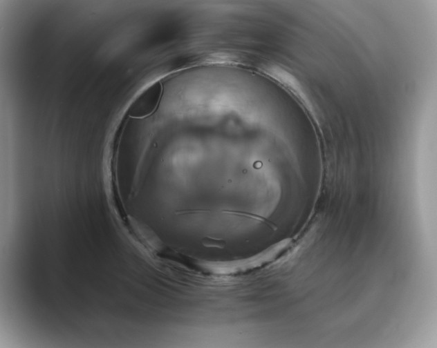 X0000089731235200707051733