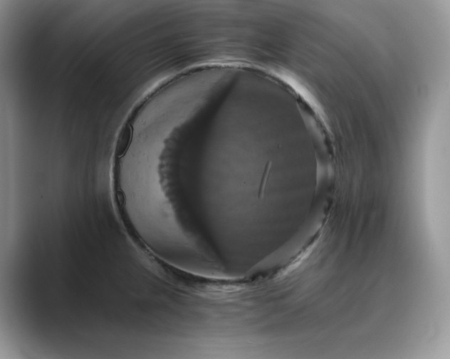 X0000089731237200707051733