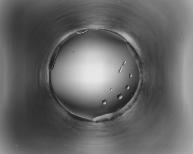 X0000089731238200707051733