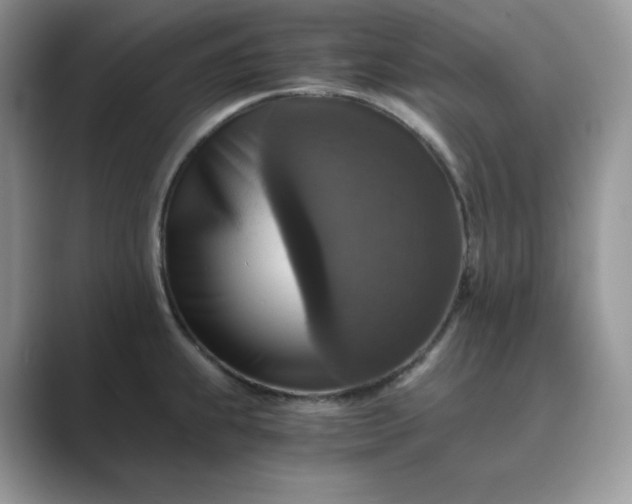 X0000089731239200707051733