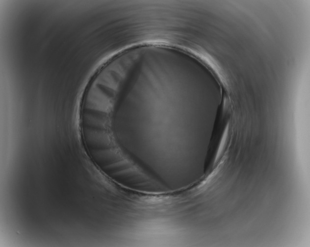 X0000089731240200707051733