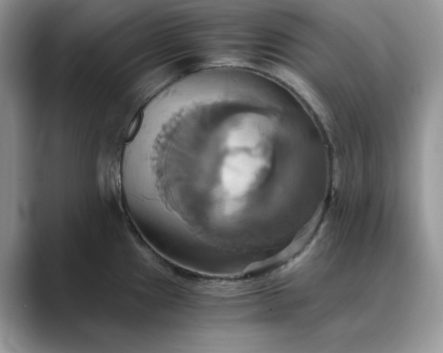 X0000089731241200707051733