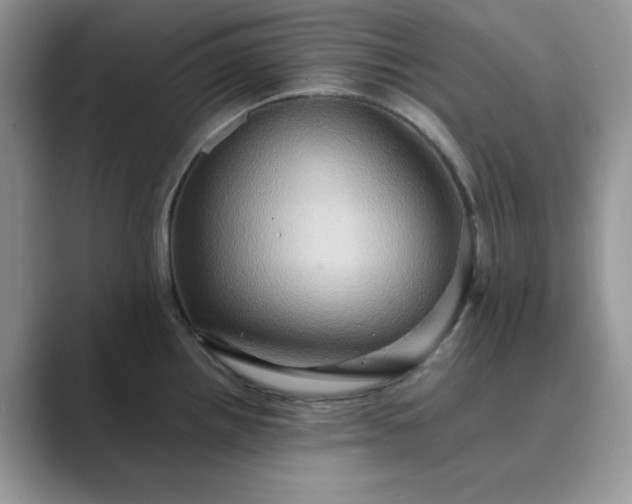 X0000089731242200707051733