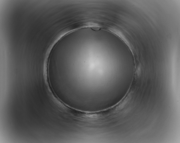 X0000089731243200707051733