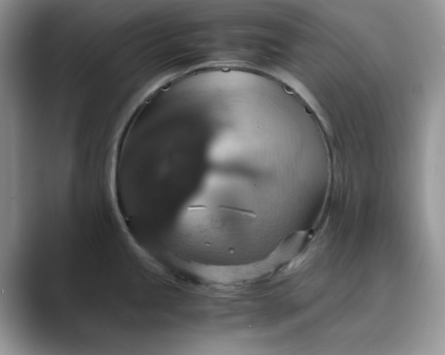 X0000089731245200707051733