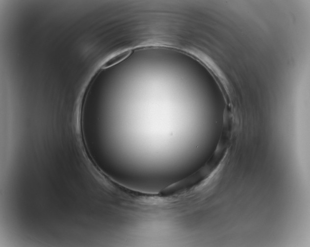 X0000089731246200707051733