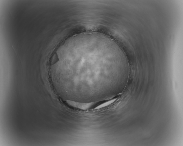 X0000089731249200707051733