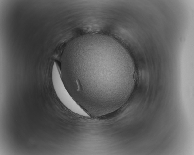 X0000089731250200707051733