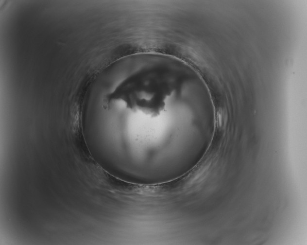 X0000089731251200707051733