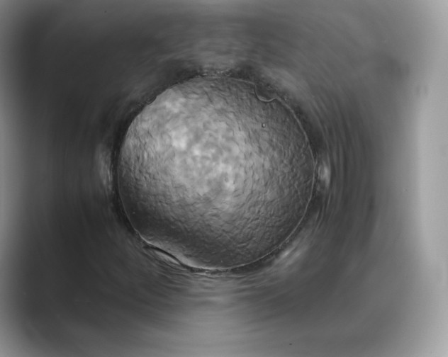 X0000089731252200707051733