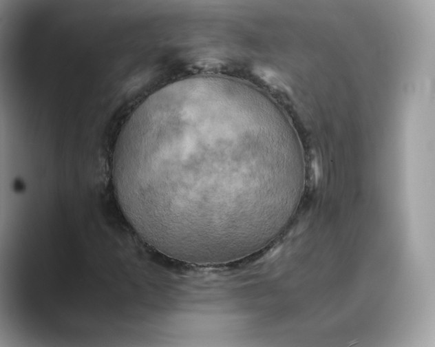 X0000089731253200707051733