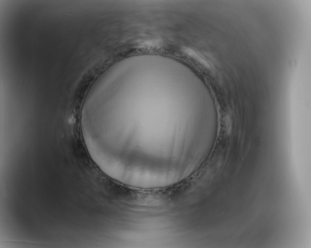 X0000089731254200707051733