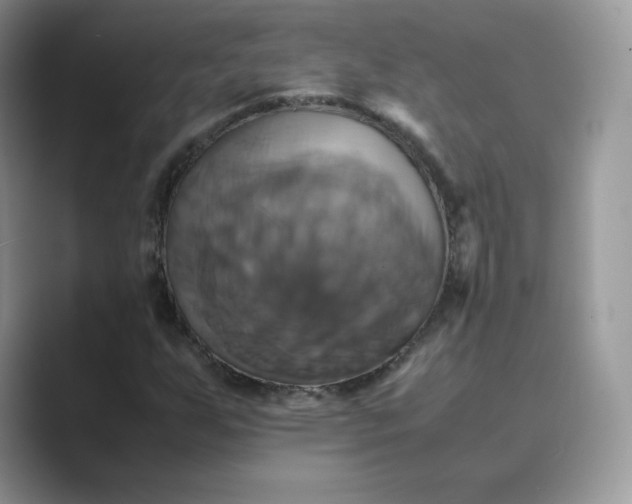 X0000089731255200707051733