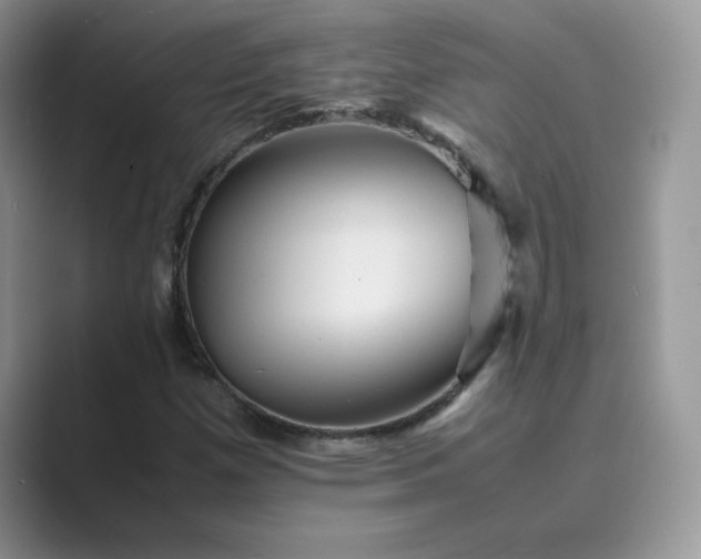 X0000089731257200707051732