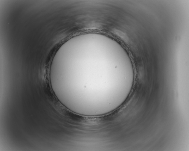 X0000089731258200707051732