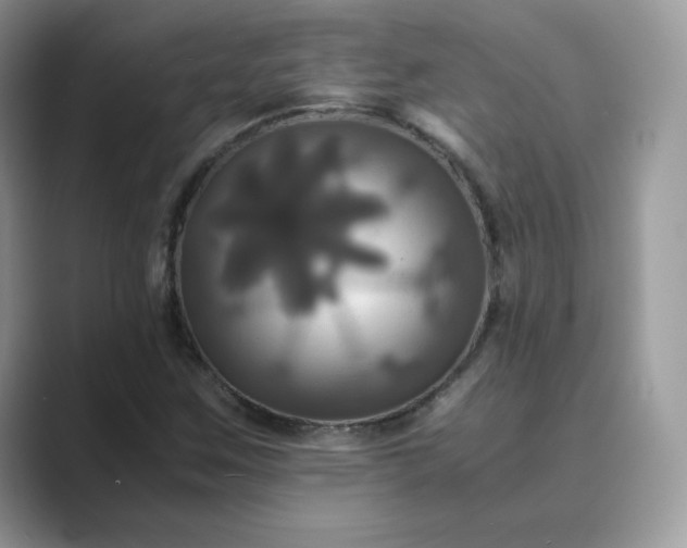 X0000089731259200707051732