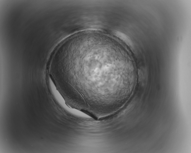 X0000089731260200707051732