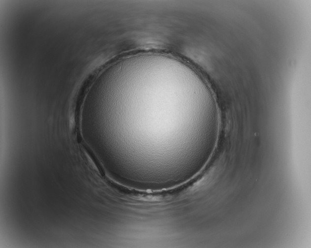X0000089731261200707051732