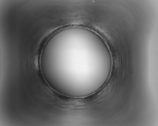 X0000089731262200707051732